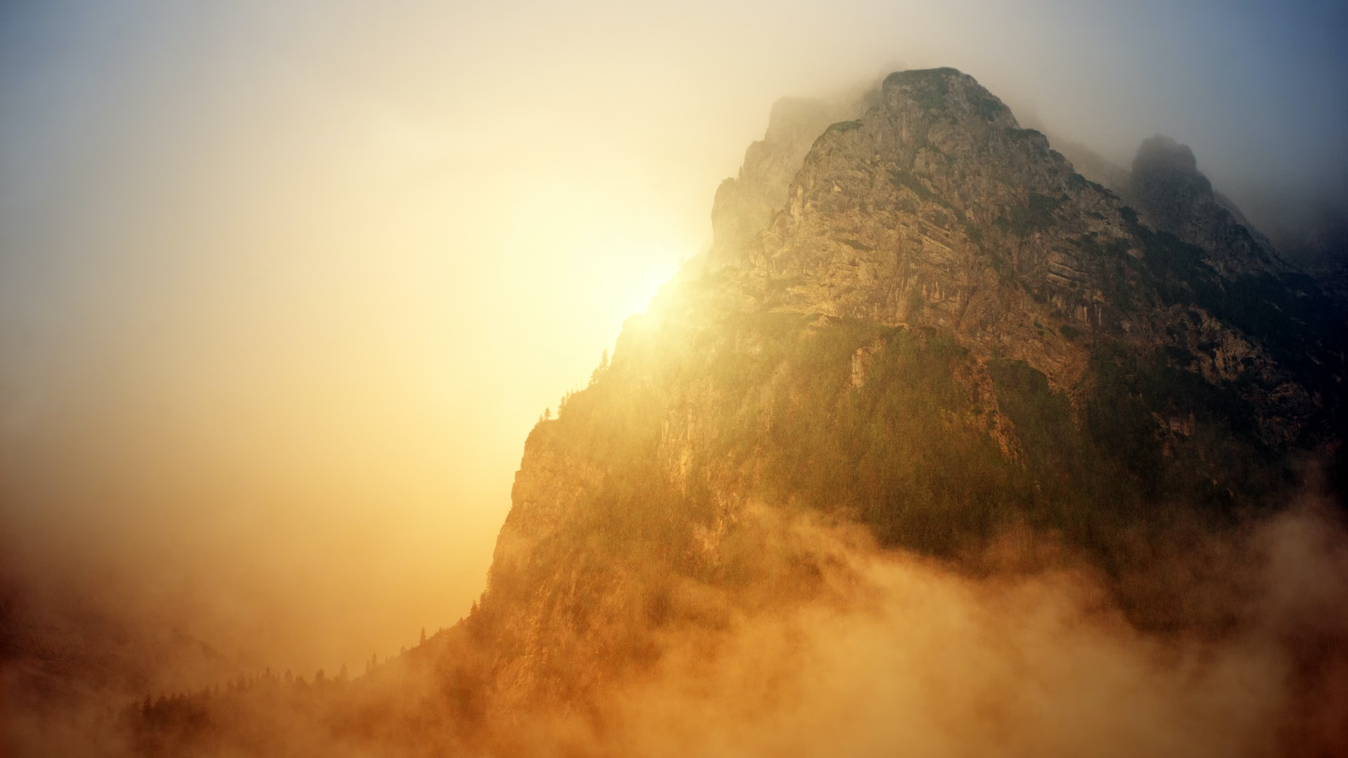 Subscription sales: content is king